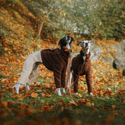 Beige & Brown Sighthound Fleece Onesie