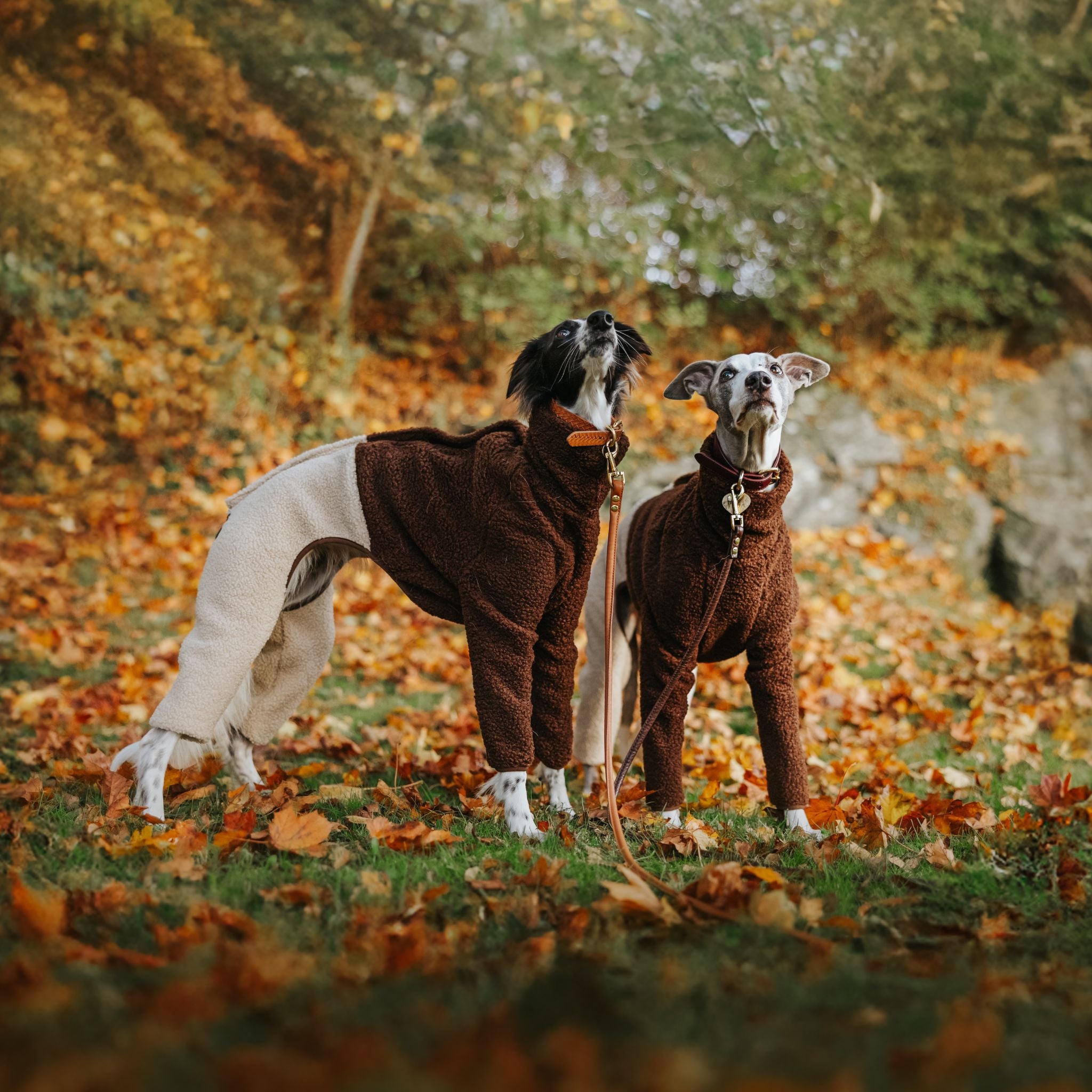 sighthound-jumpsuit-beige-brown-whippet-silkenwindsprite.jpg