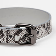 Schlange Hundehalsband Dünn