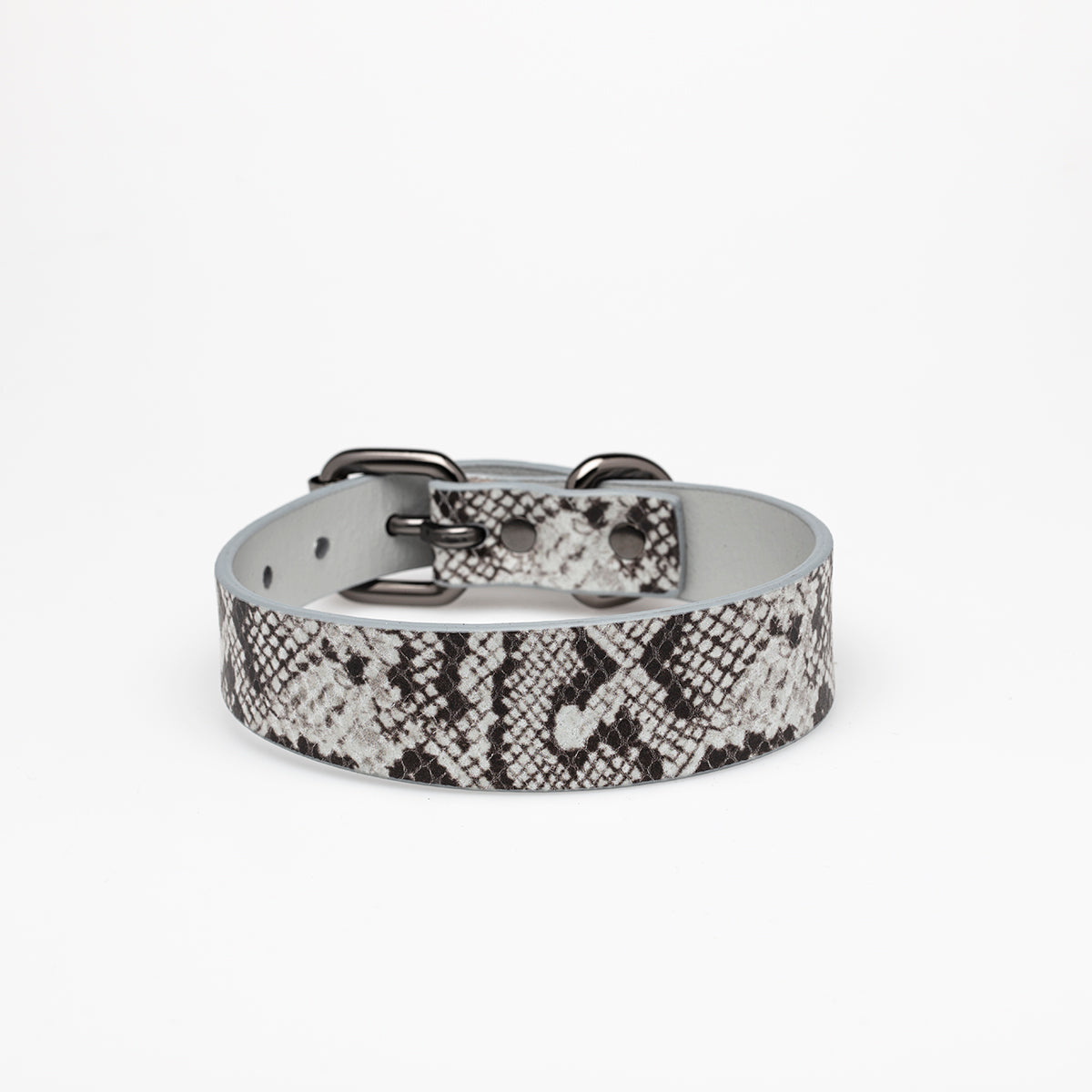 Schlange Hundehalsband Dünn