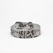 Schlange Hundehalsband Dünn