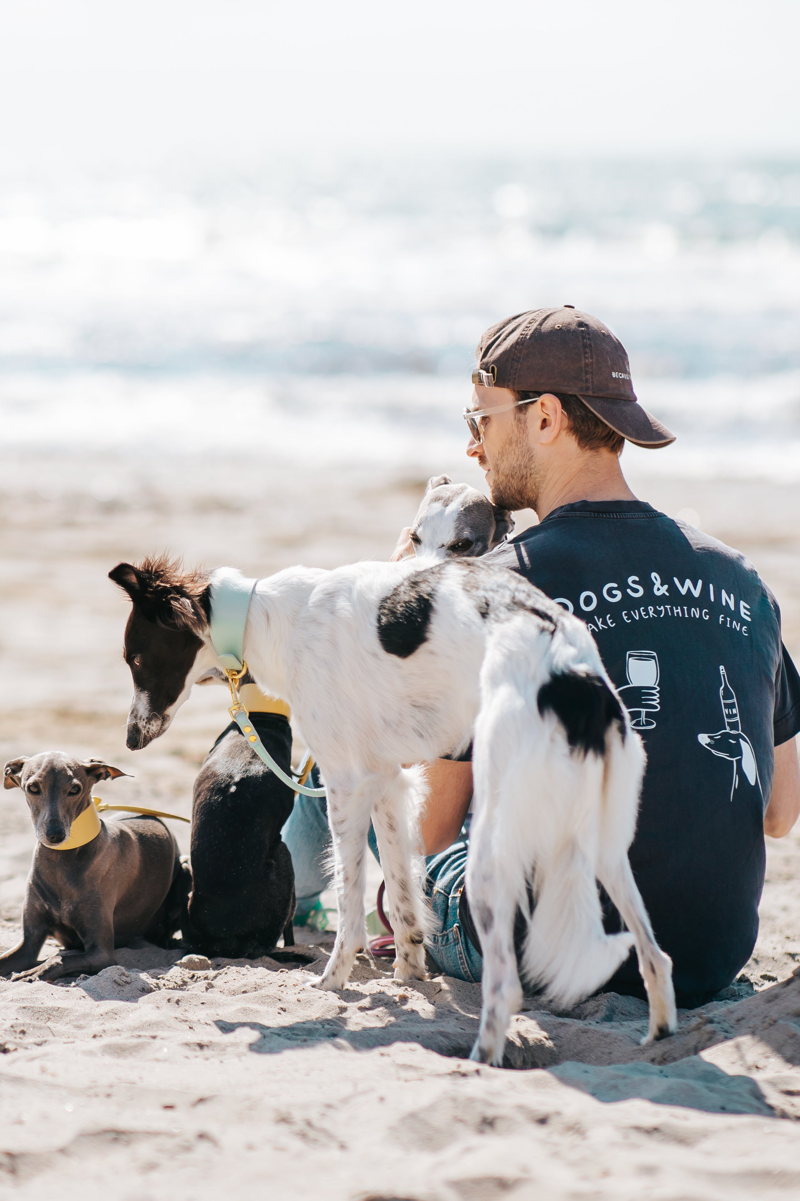 Schwarzes T-shirt - Dogs & Wine Make Everything Fine