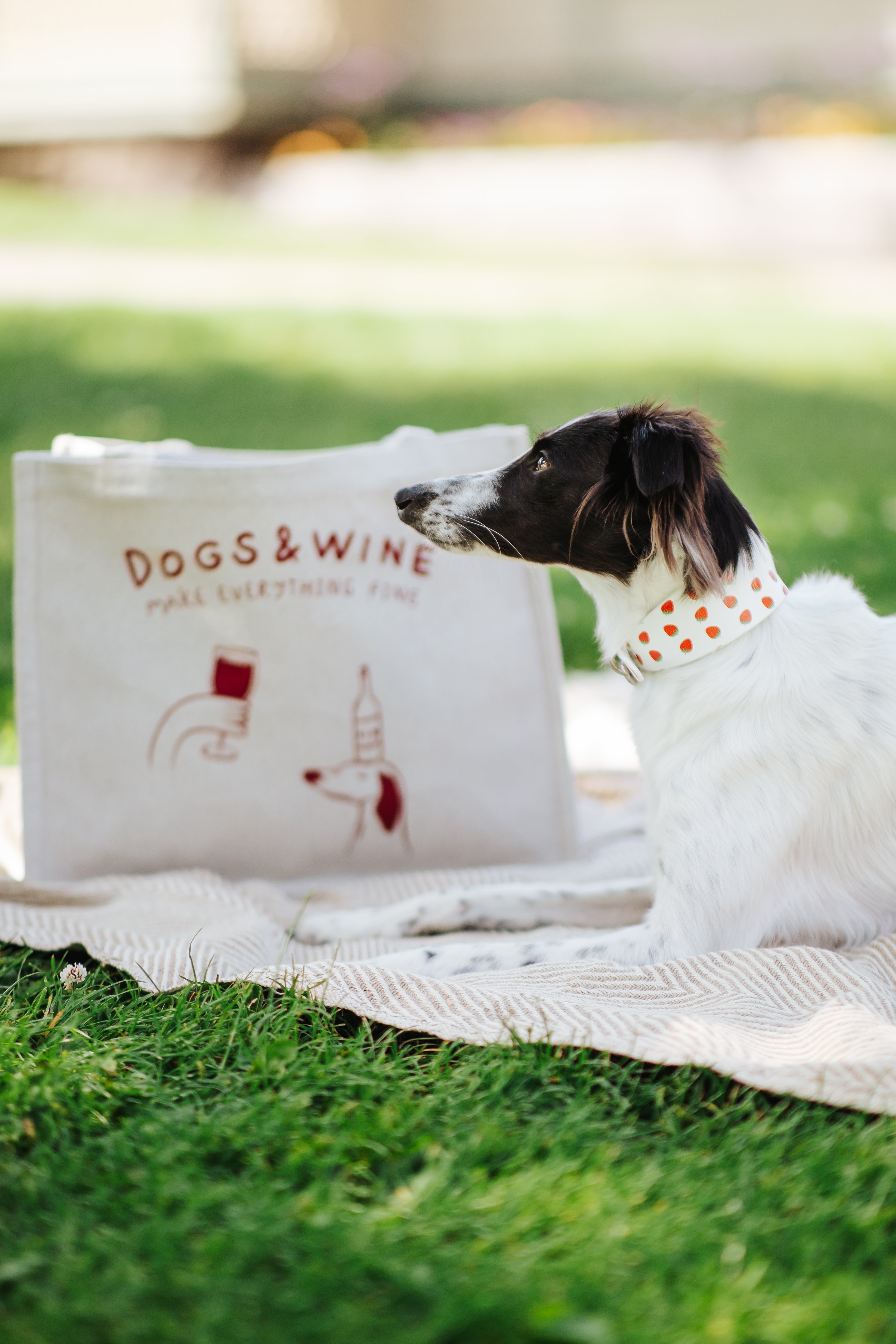 Premium Tote Bag - Dogs & Wine Make Everything Fine