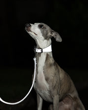 Reflektierendes Silber Hundehalsband Breit